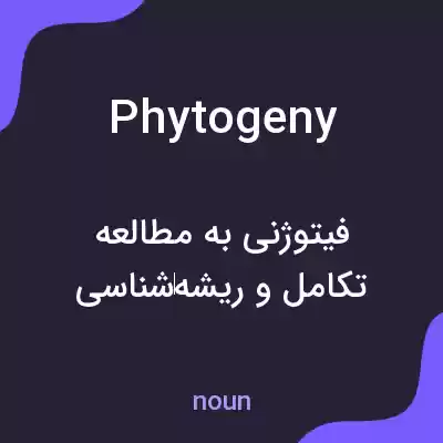 معنی phytogeny به فارسی معنی phytogeny به فارسی