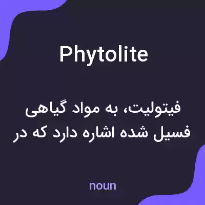 معنی phytolite به فارسی معنی phytolite به فارسی
