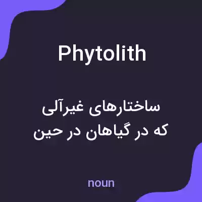 معنی phytolith به فارسی معنی phytolith به فارسی