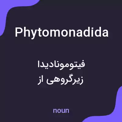 معنی phytomonadida به فارسی معنی phytomonadida به فارسی