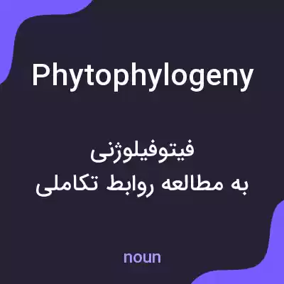 معنی phytophylogeny به فارسی معنی phytophylogeny به فارسی