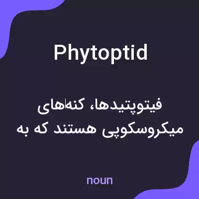 معنی phytoptid به فارسی معنی phytoptid به فارسی