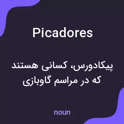 معنی picadores به فارسی معنی picadores به فارسی