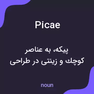 معنی picae به فارسی معنی picae به فارسی