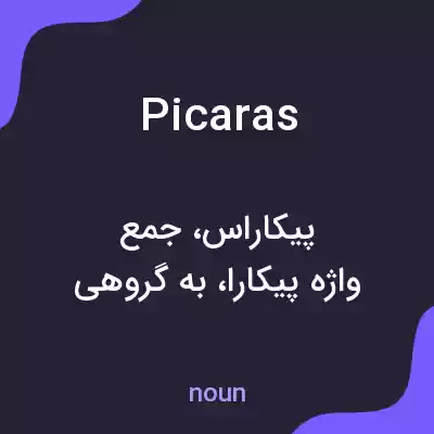 معنی picaras به فارسی معنی picaras به فارسی