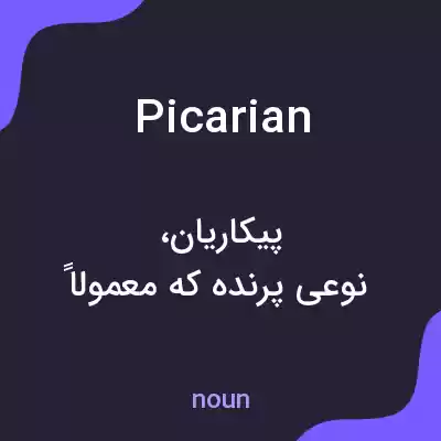معنی picarian به فارسی معنی picarian به فارسی