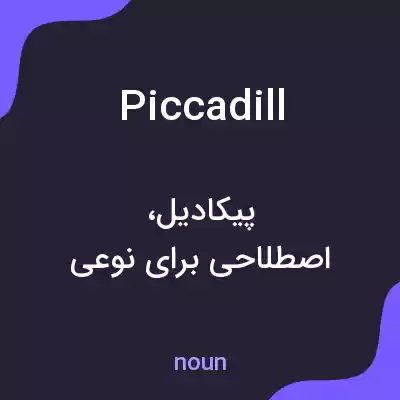 معنی piccadill به فارسی معنی piccadill به فارسی