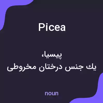 معنی picea به فارسی معنی picea به فارسی