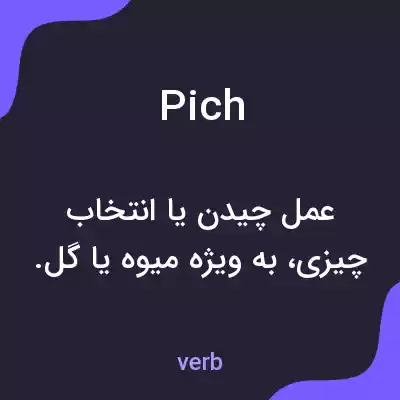 معنی pich به فارسی معنی pich به فارسی