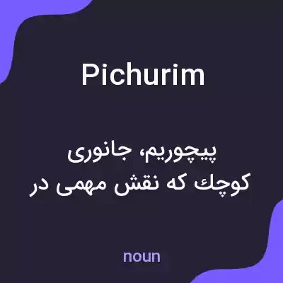 معنی pichurim به فارسی معنی pichurim به فارسی