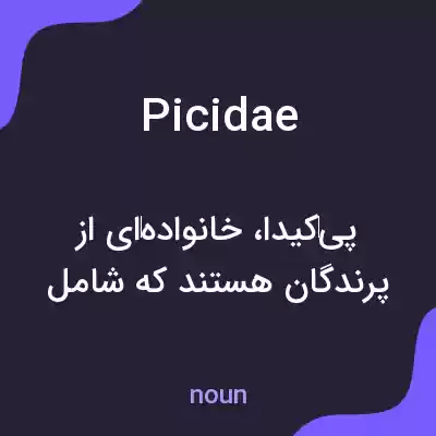 معنی picidae به فارسی معنی picidae به فارسی