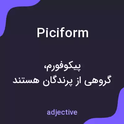 معنی piciform به فارسی معنی piciform به فارسی