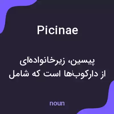معنی picinae به فارسی معنی picinae به فارسی
