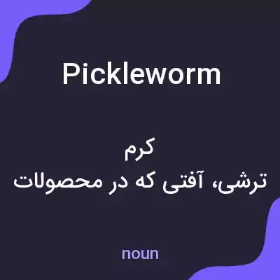 معنی pickleworm به فارسی معنی pickleworm به فارسی