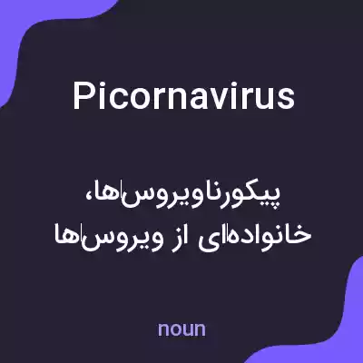 معنی picornavirus به فارسی معنی picornavirus به فارسی