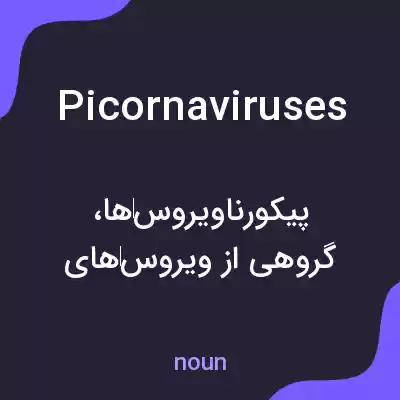 معنی picornaviruses به فارسی معنی picornaviruses به فارسی