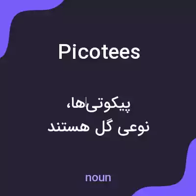 معنی picotees به فارسی