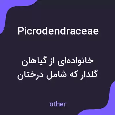 معنی picrodendraceae به فارسی معنی picrodendraceae به فارسی