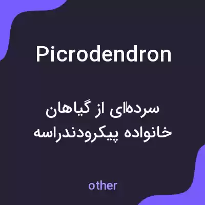 معنی picrodendron به فارسی