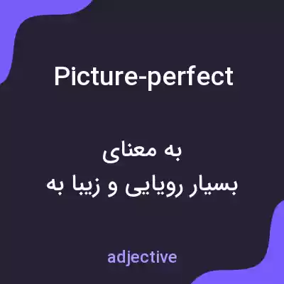 معنی picture-perfect به فارسی