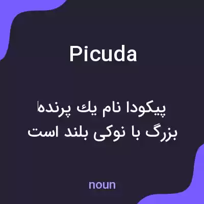 معنی picuda به فارسی معنی picuda به فارسی