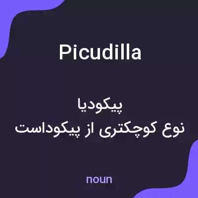 معنی picudilla به فارسی معنی picudilla به فارسی