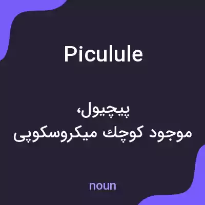 معنی piculule به فارسی معنی piculule به فارسی