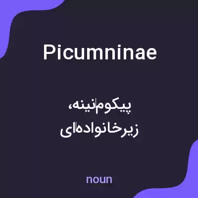 معنی picumninae به فارسی معنی picumninae به فارسی