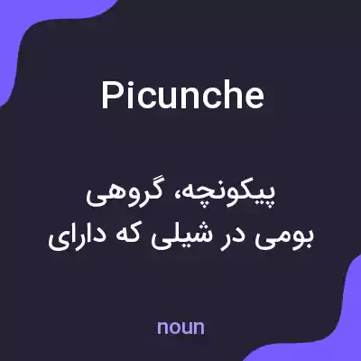 معنی picunche به فارسی معنی picunche به فارسی
