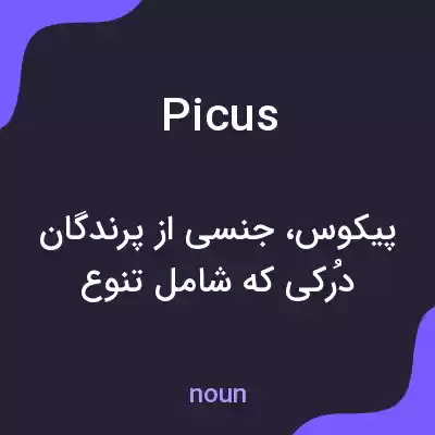معنی picus به فارسی معنی picus به فارسی