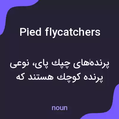 معنی pied flycatchers به فارسی معنی pied flycatchers به فارسی