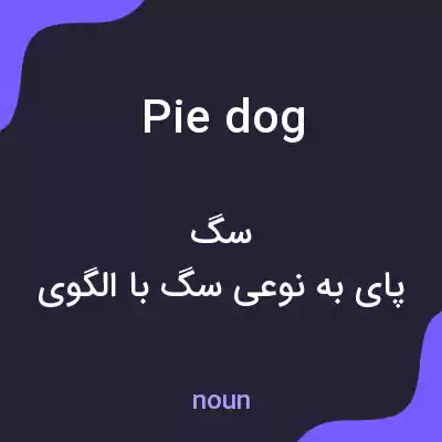 معنی pie dog به فارسی معنی pie dog به فارسی