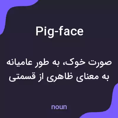 معنی pig-face به فارسی معنی pig-face به فارسی