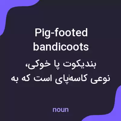 معنی pig-footed bandicoots به فارسی معنی pig-footed bandicoots به فارسی