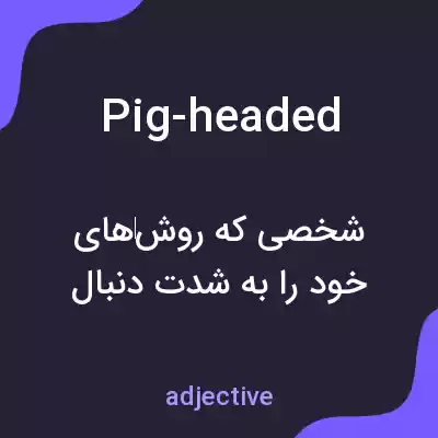 معنی pig-headed به فارسی معنی pig-headed به فارسی
