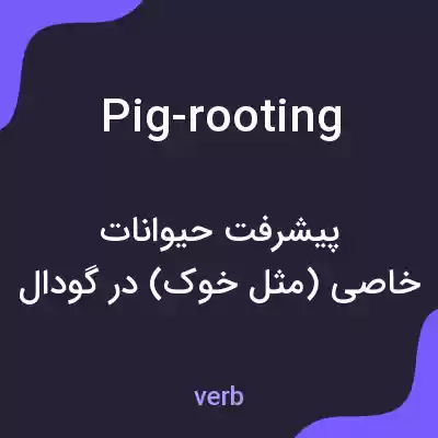 معنی pig-rooting به فارسی معنی pig-rooting به فارسی