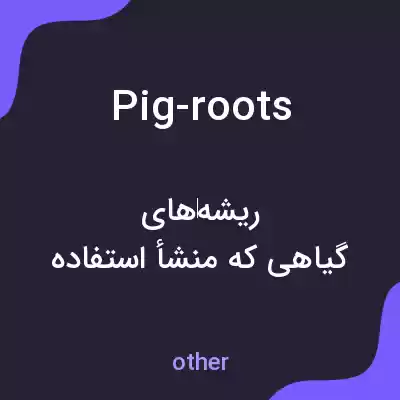 معنی pig-roots به فارسی