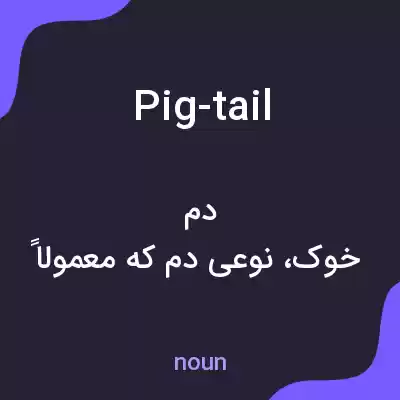 معنی pig-tail به فارسی معنی pig-tail به فارسی