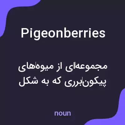 معنی pigeonberries به فارسی معنی pigeonberries به فارسی