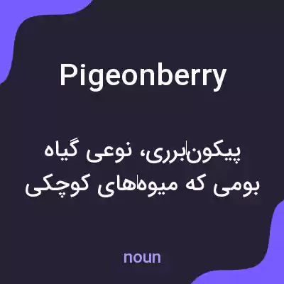 معنی pigeonberry به فارسی معنی pigeonberry به فارسی
