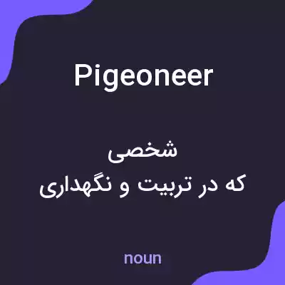معنی pigeoneer به فارسی معنی pigeoneer به فارسی
