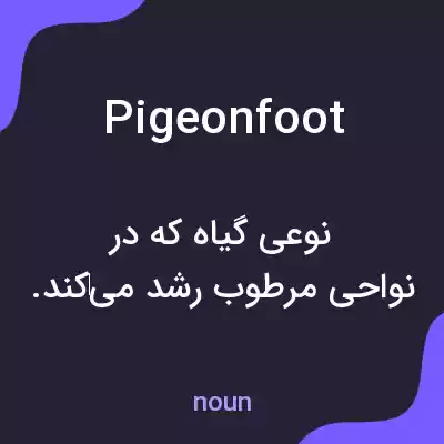 معنی pigeonfoot به فارسی معنی pigeonfoot به فارسی