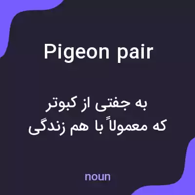 معنی pigeon pair به فارسی معنی pigeon pair به فارسی
