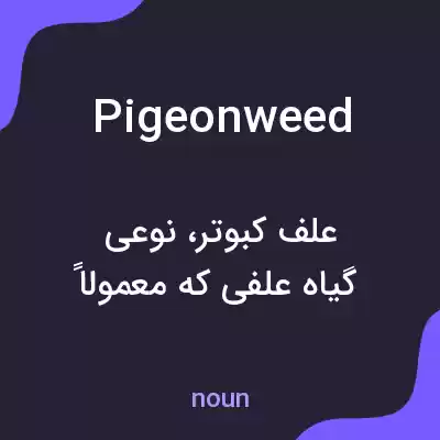 معنی pigeonweed به فارسی معنی pigeonweed به فارسی