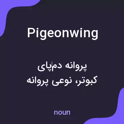 معنی pigeonwing به فارسی معنی pigeonwing به فارسی