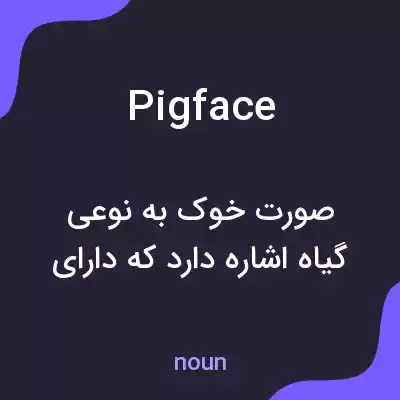 معنی pigface به فارسی معنی pigface به فارسی