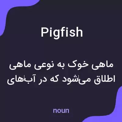 معنی pigfish به فارسی