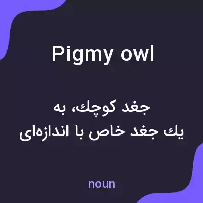 معنی pigmy owl به فارسی معنی pigmy owl به فارسی