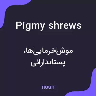 معنی pigmy shrews به فارسی معنی pigmy shrews به فارسی