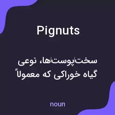 معنی pignuts به فارسی معنی pignuts به فارسی